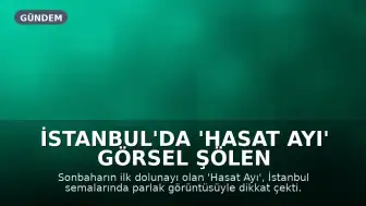 İstanbul'da 'Hasat Ayı' Görsel Şölen Sundu