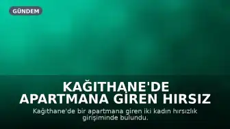 Kağıthane'de Apartmana Giren Hırsız Şüphelileri Güvenlik Kamerasına Yakalandı