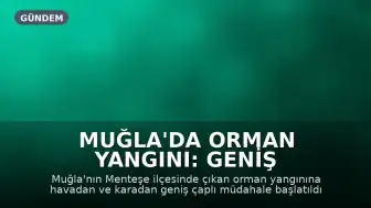 Muğla'da Orman Yangını: Geniş Müdahale Başlatıldı