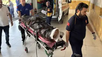 Sivas'ta Ayı Saldırısı: Çoban A.D. Hastaneye Kaldırıldı