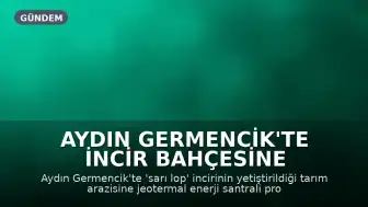 Aydın Germencik'te İncir Bahçesine Jeotermal Enerji Santrali Projesi Onayı Tepki Çekti