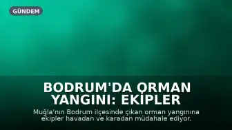Bodrum'da Orman Yangını: Ekipler Havadan ve Karadan Müdahale Ediyor