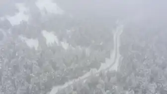 Bolu ve Düzce'nin Yüksek Kesimleri Beyaza Büründü