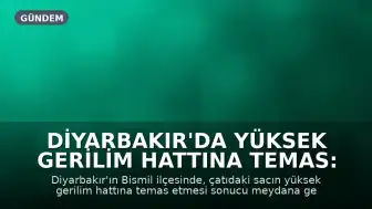 Diyarbakır'da Yüksek Gerilim Hattına Temas: 1 Ölü, 2 Ağır Yaralı