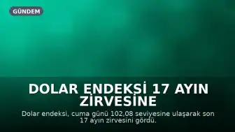 Dolar Endeksi 17 Ayın Zirvesine Yükseldi