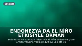 Endonezya'da El Niño Etkisiyle Orman Yangını: Yaklaşık 300 Ev Kül Oldu, Bin Kişi Tahliye Edildi