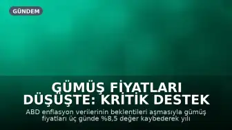 Gümüş Fiyatları Düşüşte: Kritik Destek Seviyesi Tehlikede