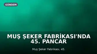 Muş Şeker Fabrikası'nda 45. Pancar Alım Kampanyası Başladı