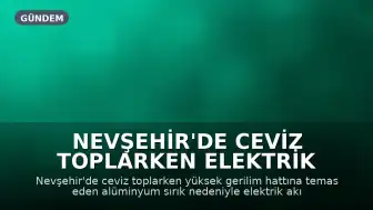 Nevşehir'de Ceviz Toplarken Elektrik Akımına Kapılan Adam Hayatını Kaybetti