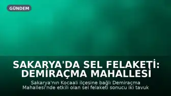 Sakarya'da Sel Felaketi: Demiraçma Mahallesi Sular Altında Kaldı, 60 Bin Kanatlı Hayvan Telef Oldu