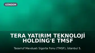 Tera Yatırım Teknoloji Holding'e TMSF Kayyum Olarak Atandı