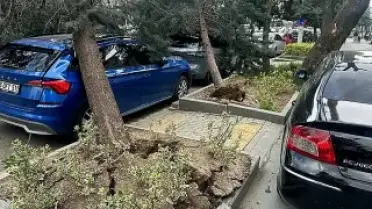 Ankara'da Fırtına: Ağaçlar Devrildi, Çatılar Uçtu