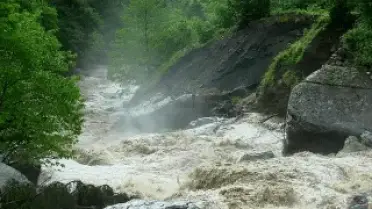 Artvin'de Şiddetli Sağanak: Dere Taştı, Yol Kapandı, Turistler Tahliye Edildi