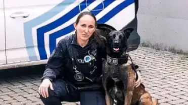 Belçika'da Köpeklere Özel Menü Sunan Beach Bar Dikkat Çekiyor