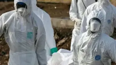 DSÖ'den Ebola Uyarısı: Nadir Görülen Virüs Yayılıyor