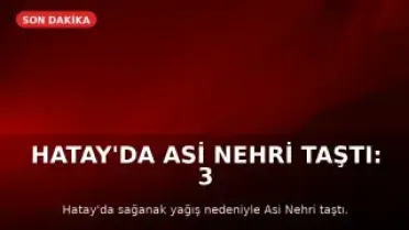 Hatay'da Asi Nehri Taştı: 3 Kişi Hayatını Kaybetti, Köprü ve Yollar Çöktü