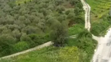 Hatay'da Düzensiz Göçmen Operasyonu: 42 Kişi Yakalandı