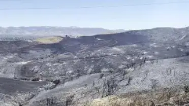 Kaliforniya'da Günlerdir Süren Orman Yangını Kontrol Altına Alınamıyor