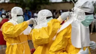 Kongo'da Nadir Ebola Türü Endişe Yaratıyor: 250 Şüpheli Vaka, 80 Ölüm