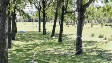 Küçükçekmece'de Polise Silahlı Saldırı Girişimi: Şüphelilerin Çantasından Kalaşnikof Tüfek Çıktı