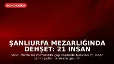 Şanlıurfa Mezarlığında Dehşet: 21 İnsan Cenini Bulundu