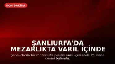 Şanlıurfa'da Mezarlıkta Varil İçinde 21 İnsan Cenini Bulundu