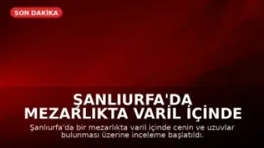 Şanlıurfa'da Mezarlıkta Varil İçinde Cenin ve Uzuvlar Bulundu