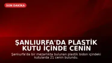 Şanlıurfa'da Plastik Kutu İçinde Cenin Bulundu