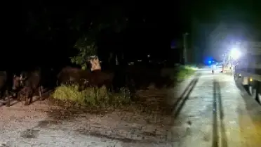 Tokat'ta Taşkın Riski Nedeniyle Bir Köy Tahliye Ediliyor