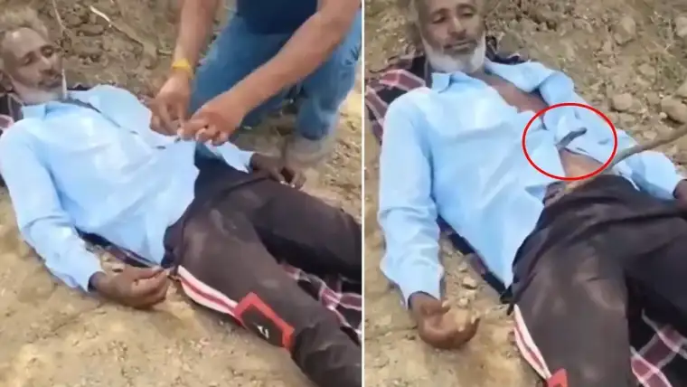 Hindistan'da Korku Dolu Anlar: Tarlada Uyuyan Çiftçinin Gömleğine Kobra Girdi