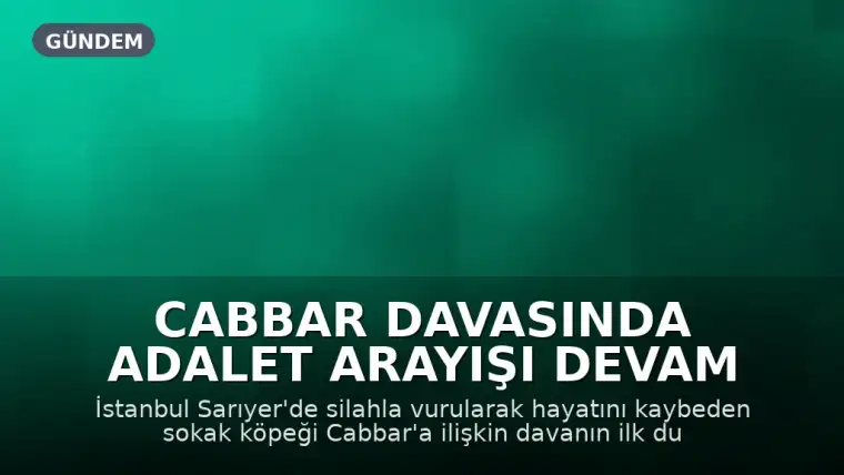Cabbar Davasında Adalet Arayışı Devam Ediyor: Duruşma 12 Kasım'a Ertelendi