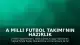 A Milli Futbol Takımı'nın Hazırlık Maçları ve Dünya Kupası Programı Belli Oldu