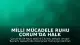 Milli Mücadele Ruhu Çorum'da Halk Oyunlarıyla Canlandı
