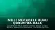 Milli Mücadele Ruhu Çorum'da Halk Oyunlarıyla Canlandı