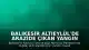 Balıkesir Altıeylül'de Arazide Çıkan Yangın Kontrol Altına Alındı