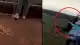 Brezilya'da İhmal: Genç Kadın Bağlanmayan Halatla 40 Metreden Düştü