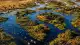 Okavango Nehri, Çöl Ortasında Dev Bir Vaha Oluşturuyor