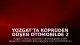 Yozgat'ta Köprüden Düşen Otomobilde 2 Çocuk Yaşamını Yitirdi