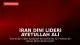 İran Dini Lideri Ayetullah Ali Hamaney İçin Tahran'da Devlet Töreni Düzenlendi