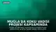Muğla'da Koku Vadisi Projesi Kapsamında Lavanta Hasadı Başladı