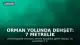Orman Yolunda Dehşet: 7 Metrelik Piton 35 Yaşındaki H.K.'yi Yuttu