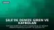 Şile'de Denize Giren ve Kaybolan Şahıs Ölü Bulundu
