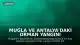 Muğla ve Antalya'daki Orman Yangını Kontrol Altına Alındı