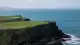 Rathlin Adası'nda Yaban Gelincikleri Temizlendi, Deniz Kuşları Yeniden Yuvalanıyor