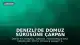 Denizli'de Domuz Sürüsüne Çarpan Motosiklet Sürücüsü Hayatını Kaybetti