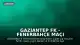 Gaziantep FK - Fenerbahçe Maçı Detayları: Tarih, Saat, Kanal ve Muhtemel Kadrolar Belli Oldu