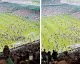 Celtic Taraftarı Sahaya İnince Şampiyonluk Tehlikeye Girdi
