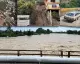 Hatay'da Şiddetli Yağış Sel Felaketine Yol Açtı: Köprüler Yıkıldı, Can Kaybı Arttı