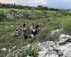 Hatay'da Traktör Kazası: Sürücü Hayatını Kaybetti