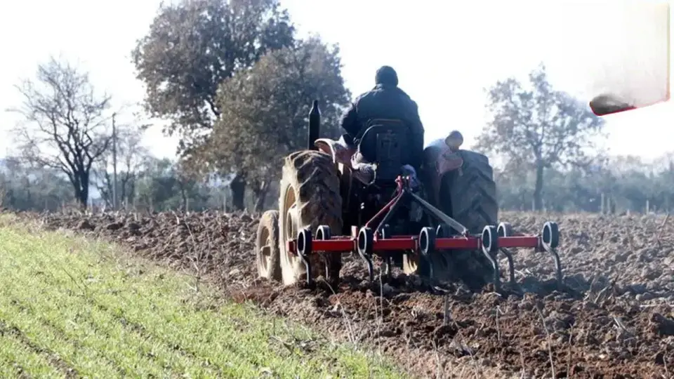 ZMO Başkanı Kapıkıran: Taban Fiyatlar Düşerse Çiftçi Sayısı Hızla Azalır